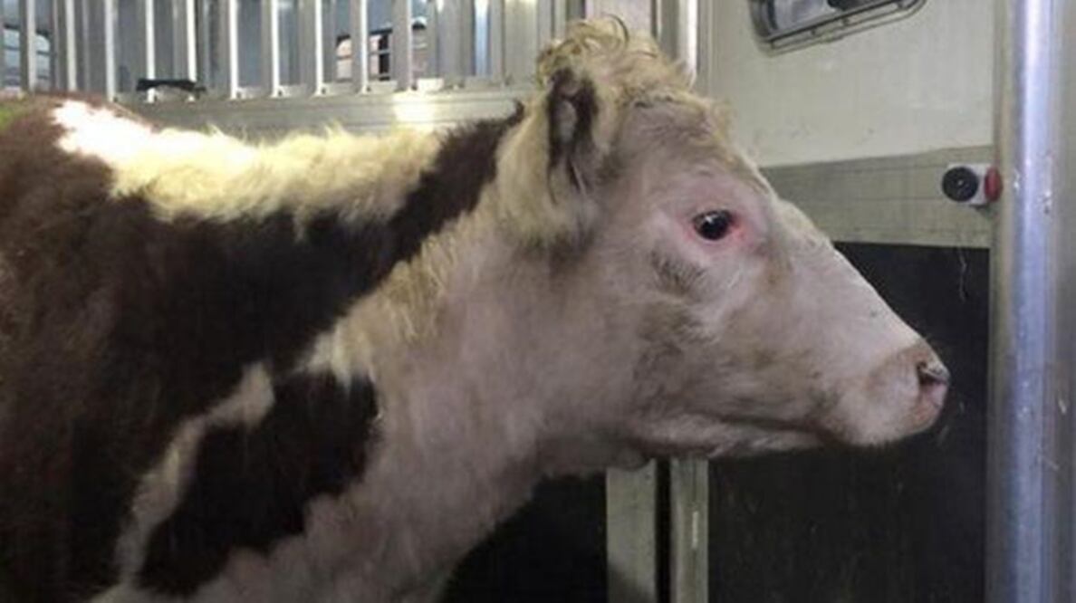 Foto El Comercio/GDA