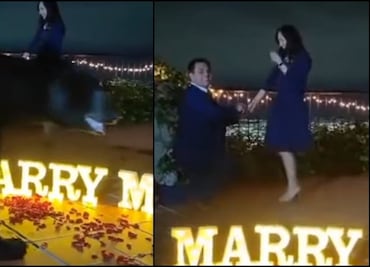 Video. Oso interrumpe propuesta de matrimonio en San Pedro Garza, Nuevo León