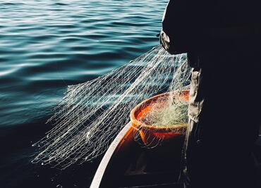 OMC endurece regulación de la pesca: prohíben subsidios en 166 países, incluido México