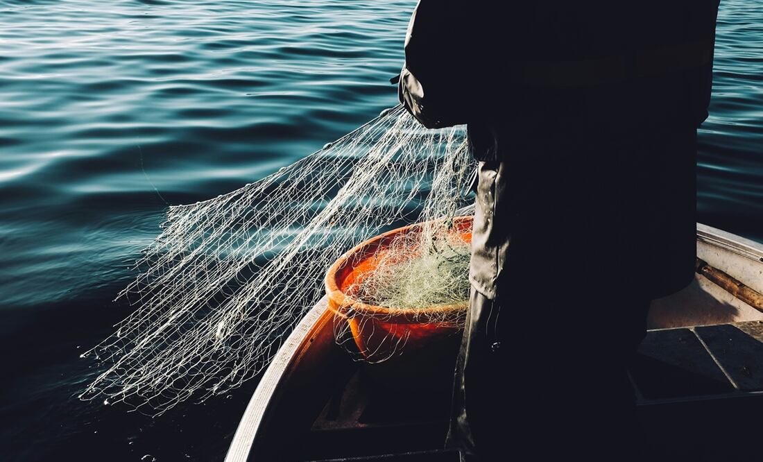 Pesca de atún, una de las más sostenibles de los mares mexicanos. Foto ilustrativa / Unsplash