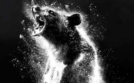 ¿Qué ver?: La historia del oso que ingirió cocaína llega a streaming