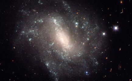 Astrofísico cree que pronto habrá pruebas de vida en el Universo