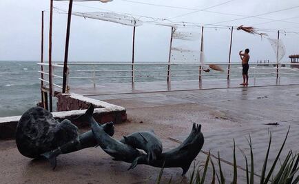 Habilitan 700 albergues en Sonora ante "Newton"