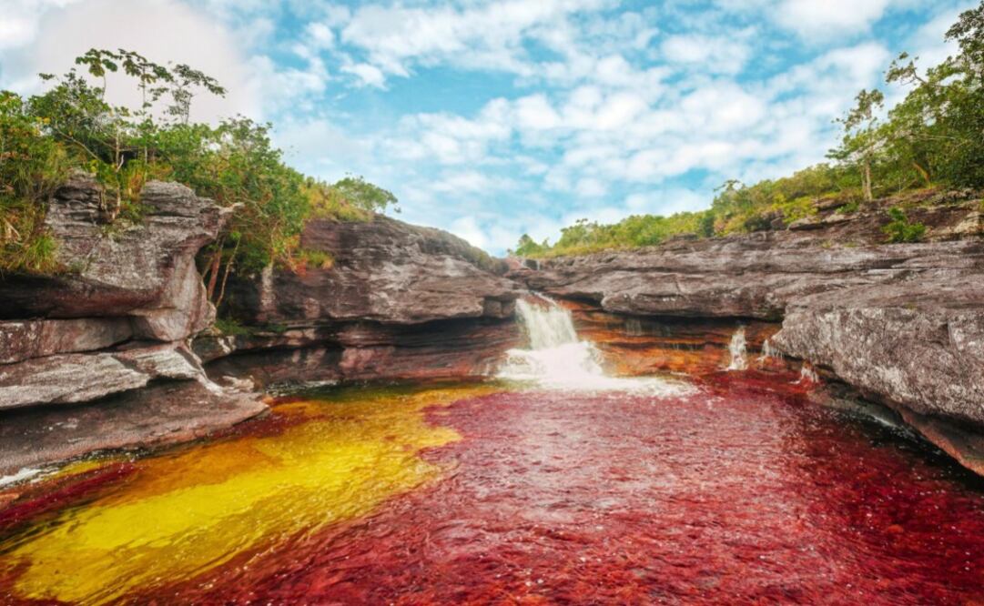 Caño Cristales o "el río de los cinco colores" (azul, rojo,amarillo, verde y negro) está en La Macarena, Colombia. Sus aguas cristalinas permiten apreciar los diferentes tipos de algas que crecen al fondo del río, las formaciones rocosas y el arena. No es un río caudaloso pues no sobrepasa los 20 metros de ancho ni los 100 km de longitud.(Foto: Mario Carvajal) 