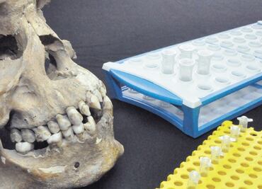 Mexican and German scientists collaborate in genetic research about the first African slaves in Colonial Mexico