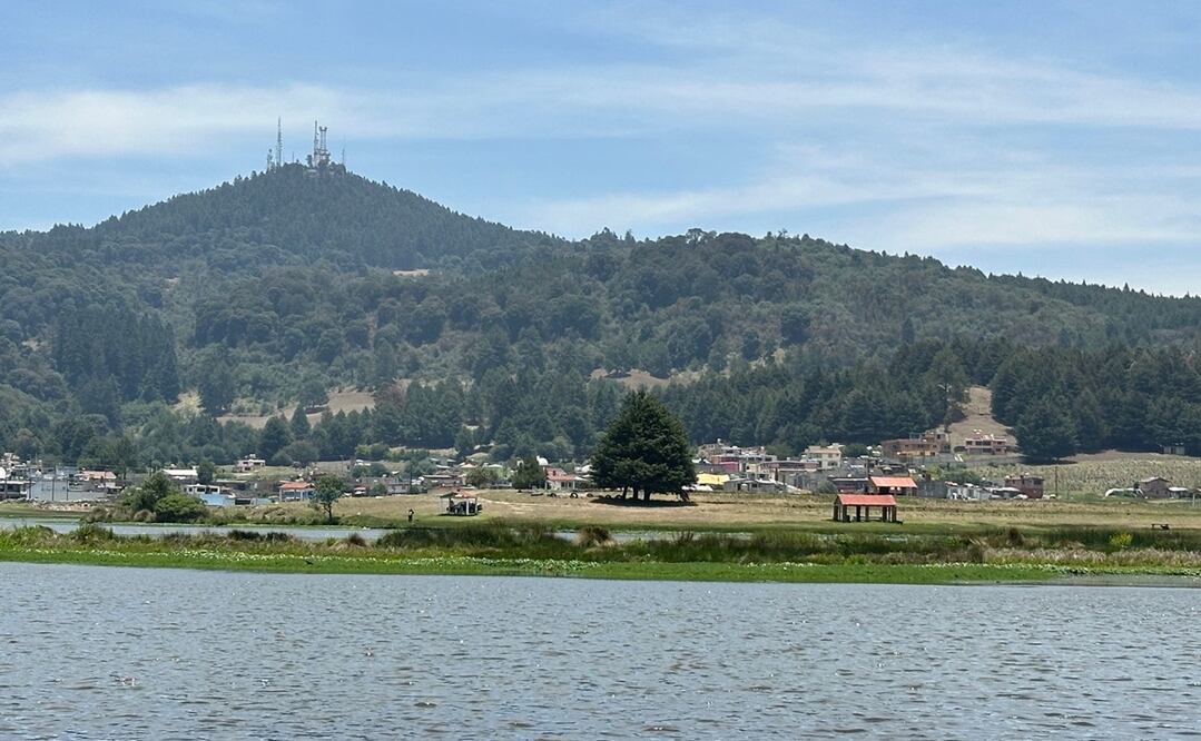 La Marquesa no logra recuperarse de la imagen que dejó un video viral donde se observa a locatarios del Valle del Conejo agrediendo a un grupo de jóvenes. Foto: Claudia González / EL UNIVERSAL