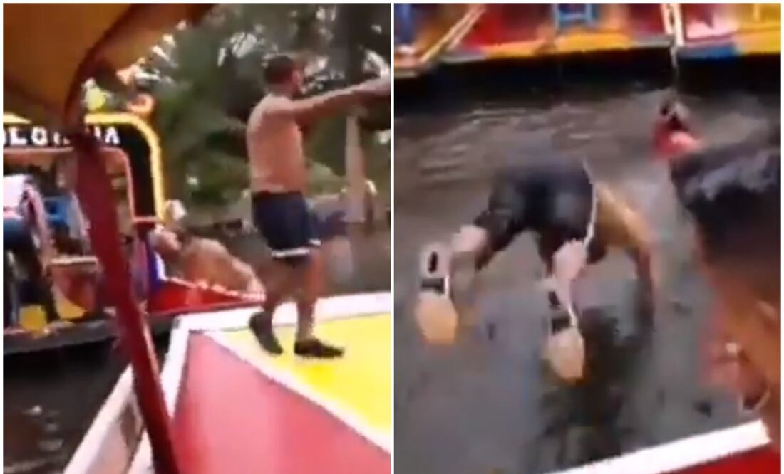 En Xochimilco todos flotan menos tú, dicen remeros