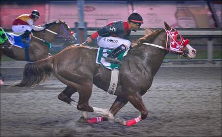 Picks y resultados del Hipódromo de las Américas