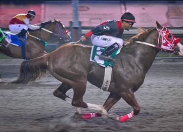 Picks y resultados del Hipódromo de las Américas