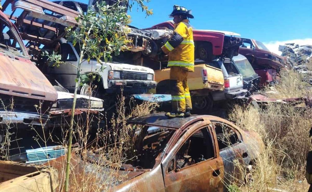 Bomberos atienden incendio forestal en Zacatecas (11/03/2026). Foto: Especial
