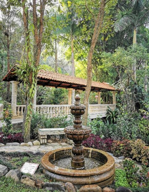 Puerto Vallarta: una ruta de aventura y naturaleza