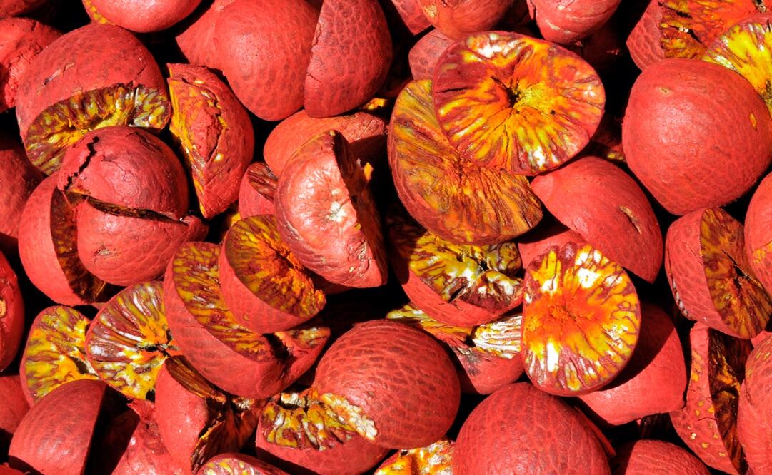 Nueces de Areca. Foto: Creative Commons Attribution-Share Alike 4.0 International.