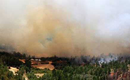 Bomberos y militares combaten incendio en Chile