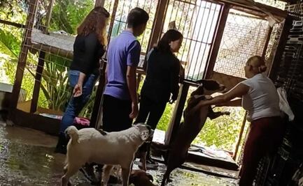 Refugio "Galleta corazón canino", en peligro de cierre; lucha por su supervivencia en Tenancingo