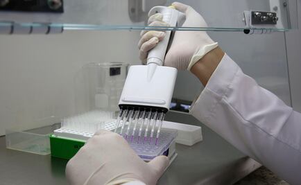 Investigación abre la puerta para posibles curas del Lupus