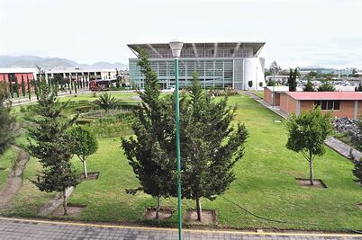 Nueva realidad, nuevas carreras