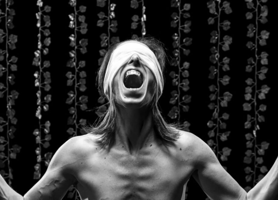 Bailarines ofrecen su versión del libro científico más bello de la historia