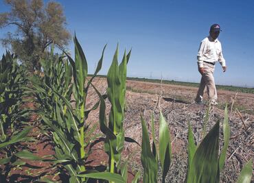 EU podrá castigar a México el lunes: exjuez de la OMC