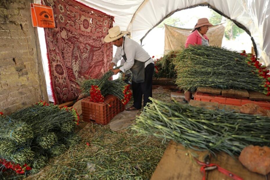 Coronavirus. Del campo a la basura
