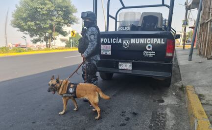 Muere Inna, perrita que ayudó a localizar fosa con víctimas del asesino serial de Atizapán