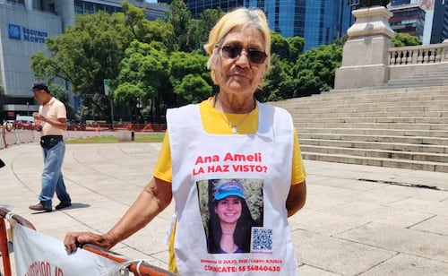 "As they make the memorial disappear, they make people disappear"; Ana Amelí's family remains disappointed