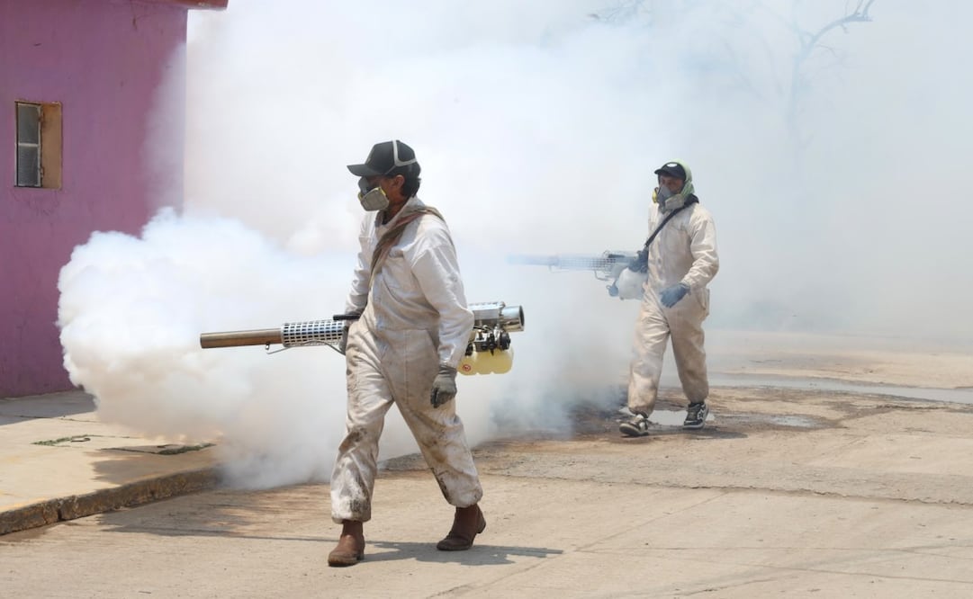 Conagua reduce la presencia del mosquito Culex en la presa Endhó, Hidalgo; mantiene la estrategia de control.
Foto: Especial.