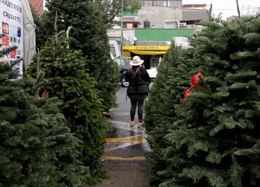 En servicio, centros de acopio de árboles navideños