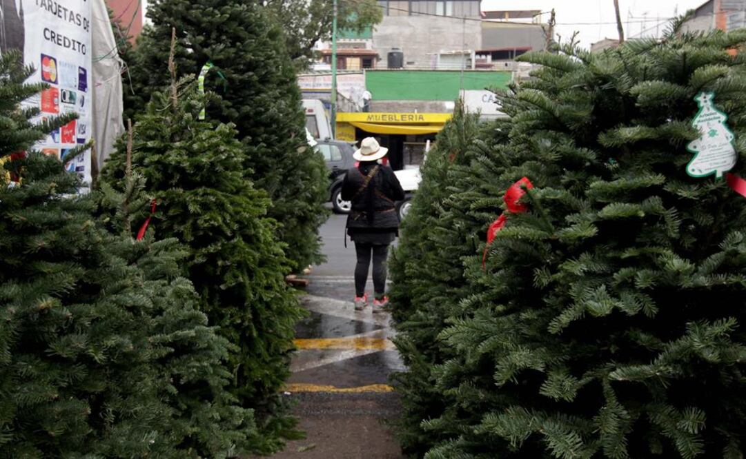 (Foto: Archivo/El Universal) 