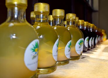 Consejos para que tomes mezcal como un verdadero experto