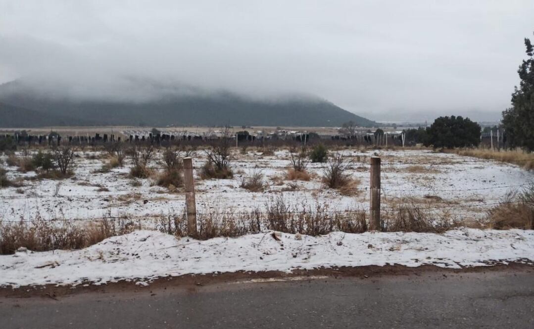 La mayor parte del municipio ha registrado la caída de hielo conocido como “candelilla”. Foto: Especial
