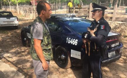 Rescatan cría de venado en carretera Mérida-Chichén Itzá