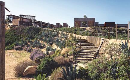 La tragedia de los bienes comunes y el Valle de Guadalupe