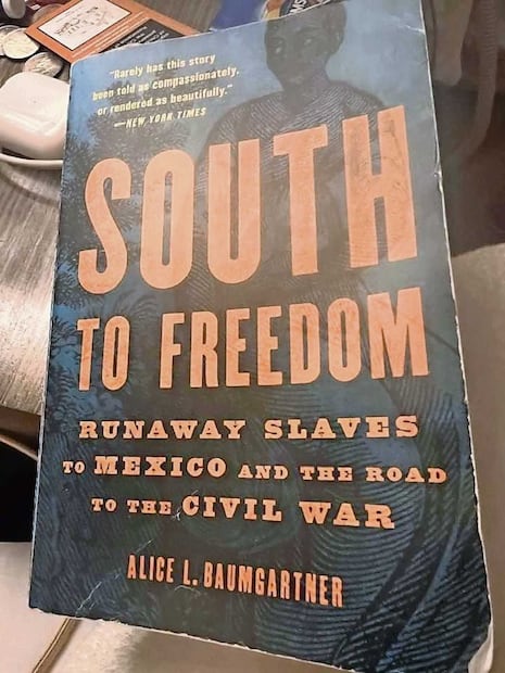 El libro Hacia la libertad, de Alice Baumgartner. Foto: Especial