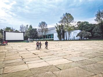 Alfileres y trasbordadores puede comerciar Estrategy & Solutions