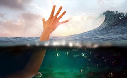 5 historias de supervivencia en la naturaleza que sorprendieron al mundo