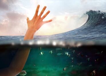 5 historias de supervivencia en la naturaleza que sorprendieron al mundo