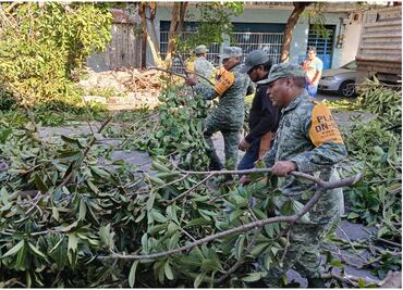 Ejército mexicano aplica Plan DN-III-E en Veracruz y Zacatecas por vientos fuertes; reportan caída de árboles