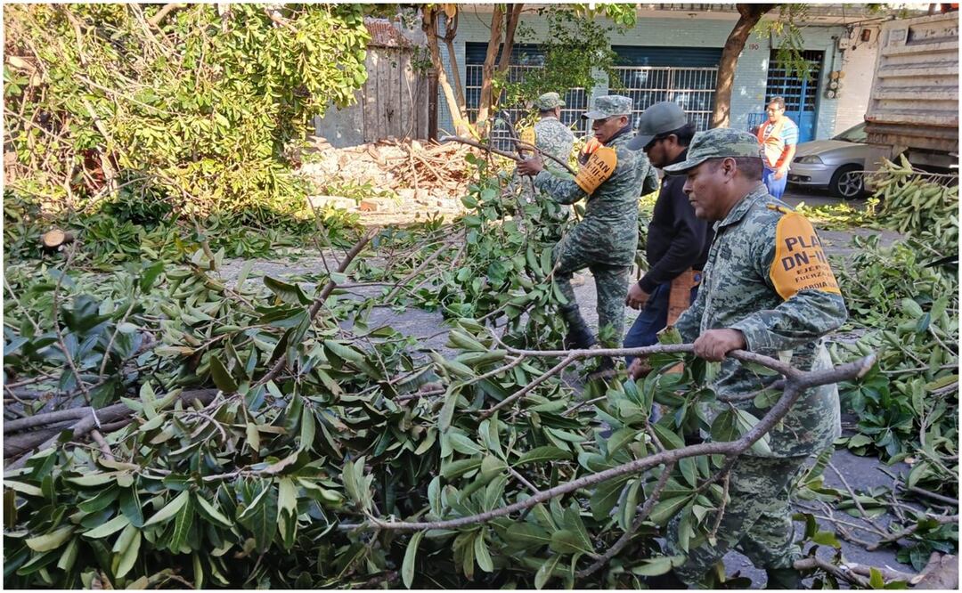 Al menos tres vehículos fueron dañados por la caída de los árboles tras vientos fuertes en Veracruz, por lo que elementos del ejército se trasladaron para ayudar al retiro de ramas.  (10/01/2025). Foto: Especial