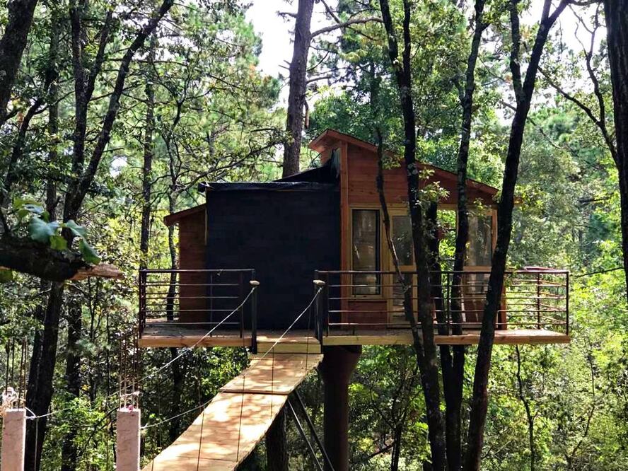 Las cabañas de Pinochueco son Pet friendly/ Foto: facebook.com/PinochuecoHuasca