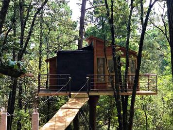 Pinochueco: cabañas suspendidas en los árboles de Hidalgo