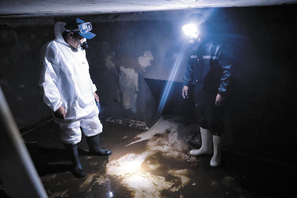 Foto: Fernanda Rojas | El Universal