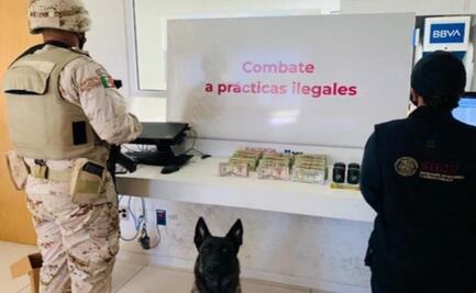 SAT decomisa relojes de lujo y más de 41 mil dólares en aduana del AICM