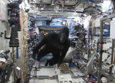 ¡Un gorila en el espacio! Astronauta realiza broma a compañeros