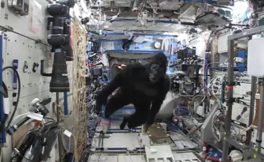 ¡Un gorila en el espacio! Astronauta realiza broma a compañeros