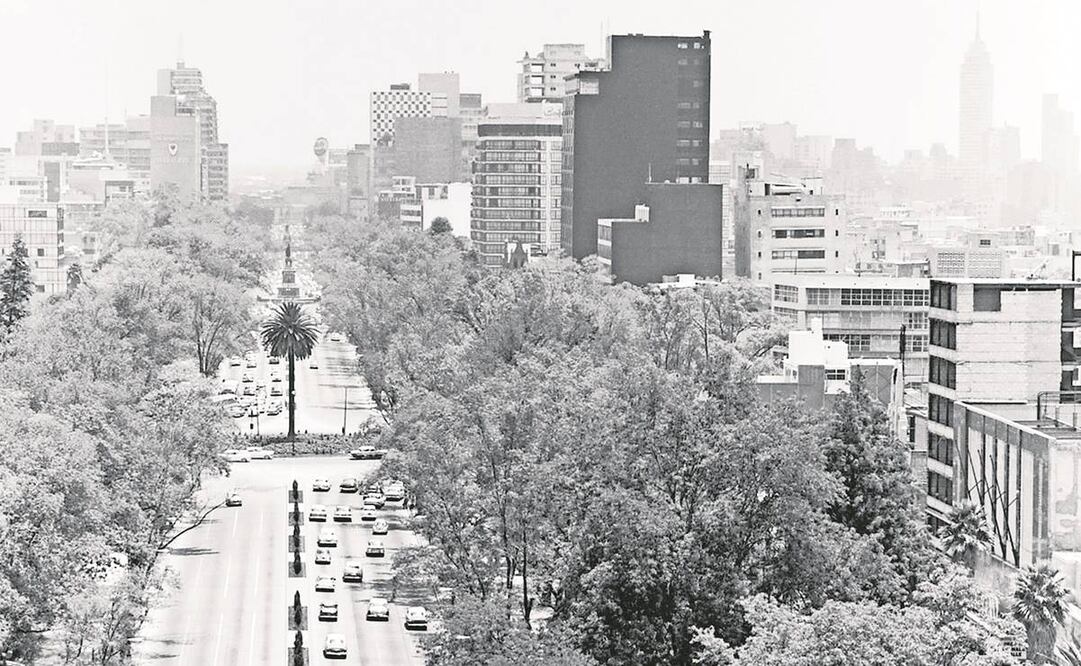 La Glorieta de la Palma en 1963; destaca en la imagen el Hotel del Paseo y el Hotel Continental. Foto: COLECCIÓN CARLOS VILLASANA