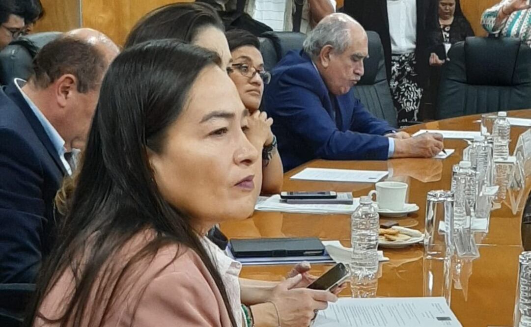 La coordinadora del PRD en San Lázaro, Verónica Juárez Piña. Foto: Especial 