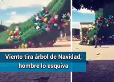 Fuertes vientos derriban árbol de Navidad en Hidalgo