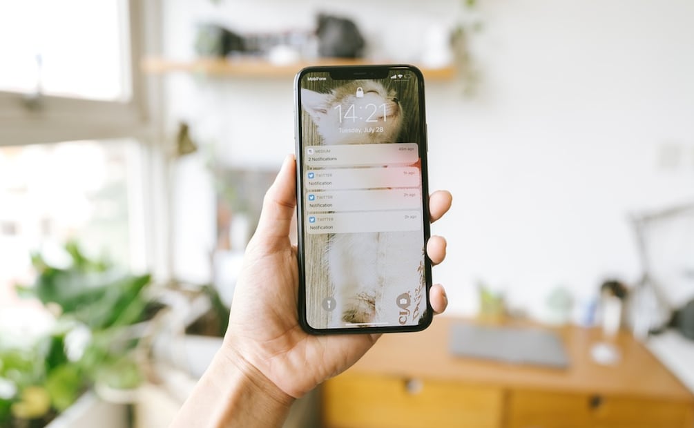En iPhone, existen dos procesos diferentes para eliminar los datos de tu celular. Foto: Pixabay