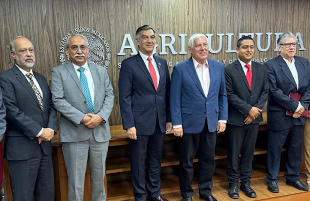 Productores tamaulipecos de sorgo podrán comercializar el grano a mejor precio. Foto: Especial