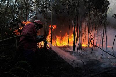 Se registran 11 incendios forestales activos en Veracruz